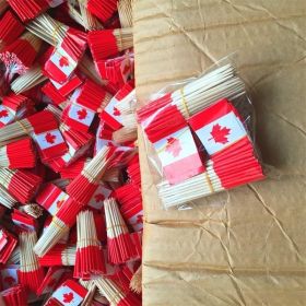 65mm Paper Flag Toothpick (Option: Canada 100)